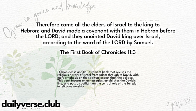 Bible Verse Wallpaper 11:3 from The First Book of Chronicles