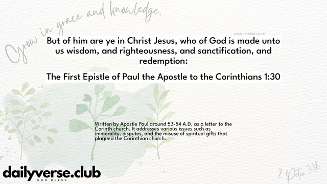 Bible Verse Wallpaper 1:30 from The First Epistle of Paul the Apostle to the Corinthians