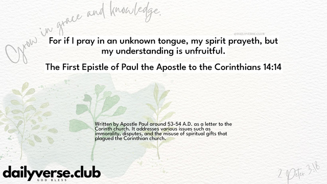 Bible Verse Wallpaper 14:14 from The First Epistle of Paul the Apostle to the Corinthians