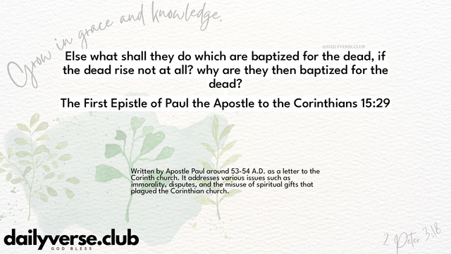 Bible Verse Wallpaper 15:29 from The First Epistle of Paul the Apostle to the Corinthians