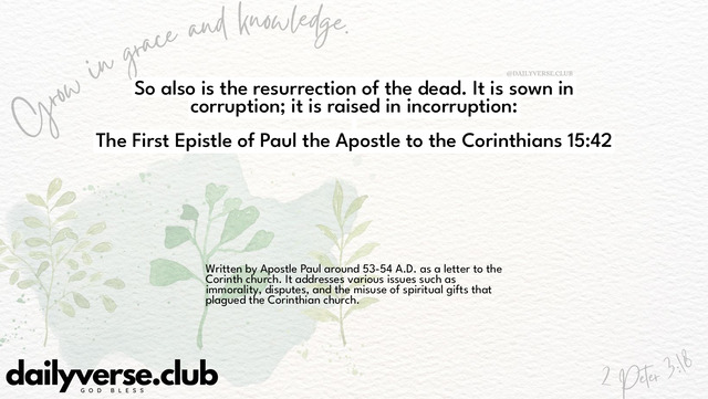 Bible Verse Wallpaper 15:42 from The First Epistle of Paul the Apostle to the Corinthians