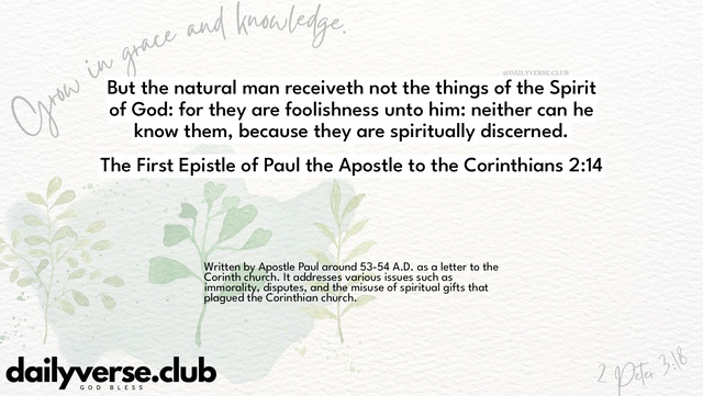 Bible Verse Wallpaper 2:14 from The First Epistle of Paul the Apostle to the Corinthians