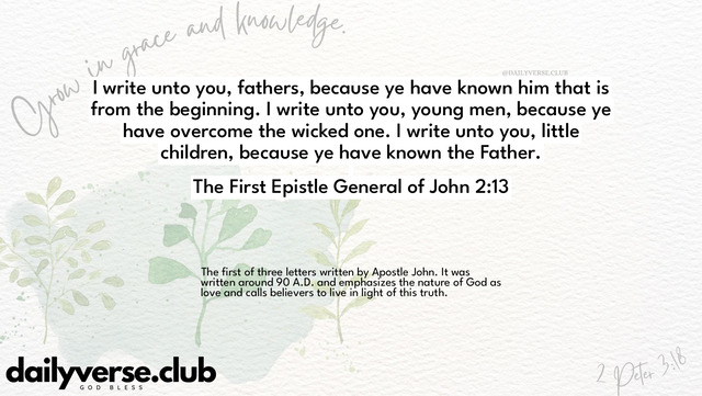Bible Verse Wallpaper 2:13 from The First Epistle General of John