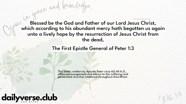 Bible Verse Wallpaper 1:3 from The First Epistle General of Peter