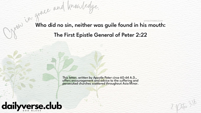 Bible Verse Wallpaper 2:22 from The First Epistle General of Peter