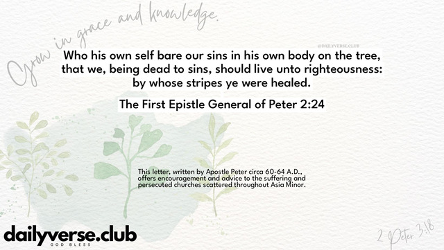 Bible Verse Wallpaper 2:24 from The First Epistle General of Peter