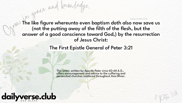 Bible Verse Wallpaper 3:21 from The First Epistle General of Peter