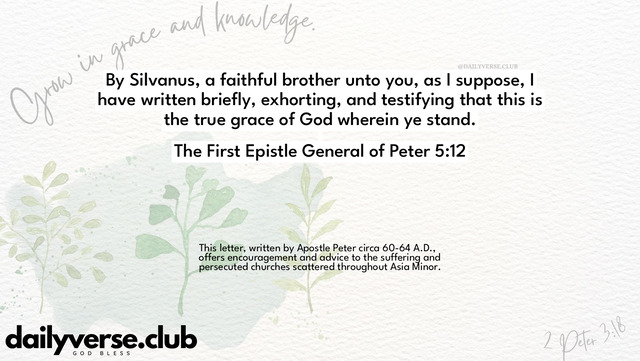 Bible Verse Wallpaper 5:12 from The First Epistle General of Peter