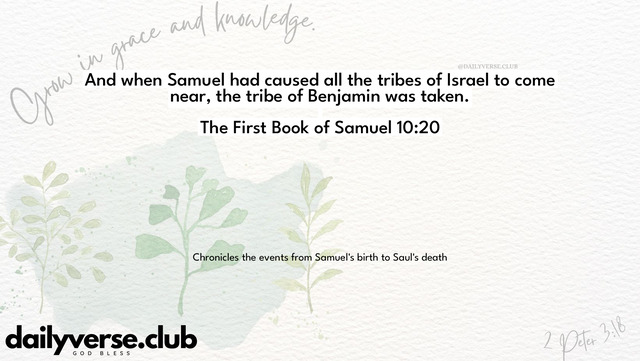 Bible Verse Wallpaper 10:20 from The First Book of Samuel