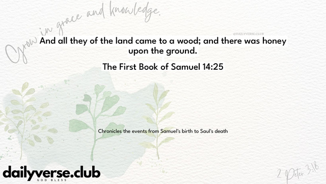 Bible Verse Wallpaper 14:25 from The First Book of Samuel