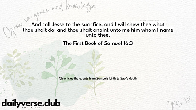 Bible Verse Wallpaper 16:3 from The First Book of Samuel