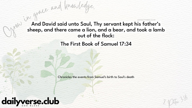 Bible Verse Wallpaper 17:34 from The First Book of Samuel
