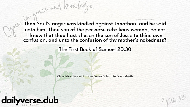 Bible Verse Wallpaper 20:30 from The First Book of Samuel