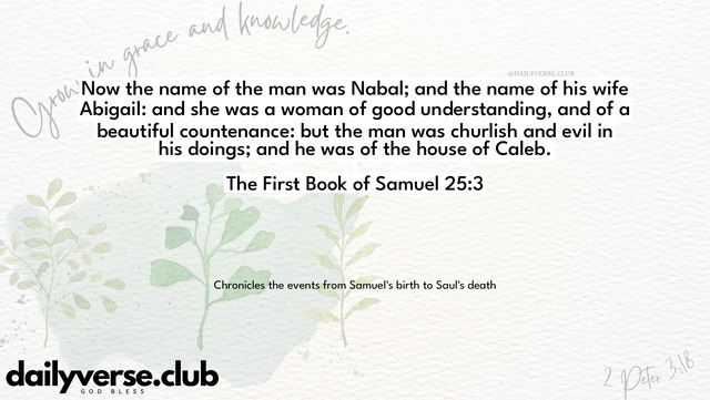 Bible Verse Wallpaper 25:3 from The First Book of Samuel