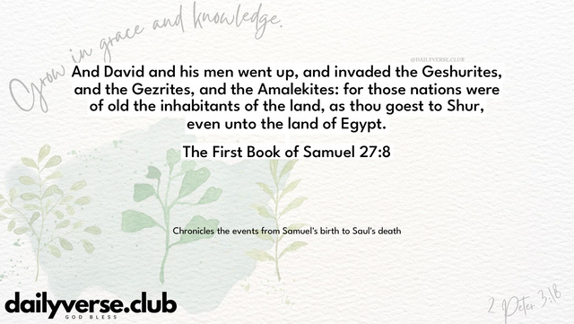 Bible Verse Wallpaper 27:8 from The First Book of Samuel