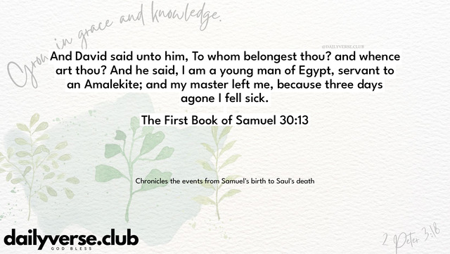 Bible Verse Wallpaper 30:13 from The First Book of Samuel