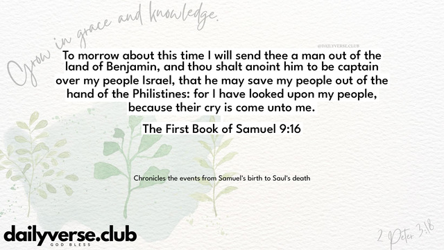 Bible Verse Wallpaper 9:16 from The First Book of Samuel