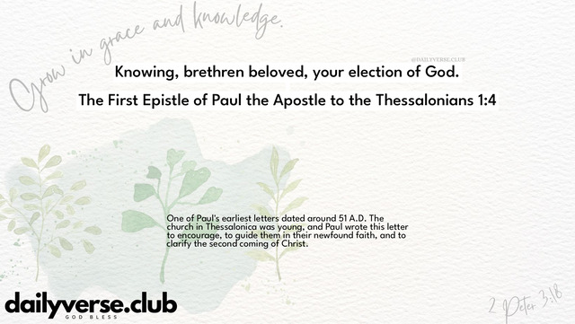 Bible Verse Wallpaper 1:4 from The First Epistle of Paul the Apostle to the Thessalonians