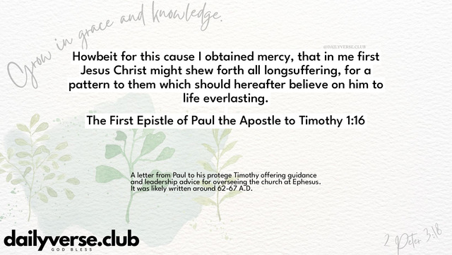Bible Verse Wallpaper 1:16 from The First Epistle of Paul the Apostle to Timothy