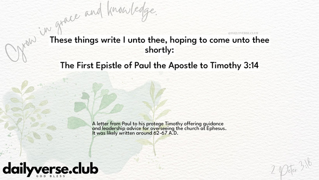 Bible Verse Wallpaper 3:14 from The First Epistle of Paul the Apostle to Timothy