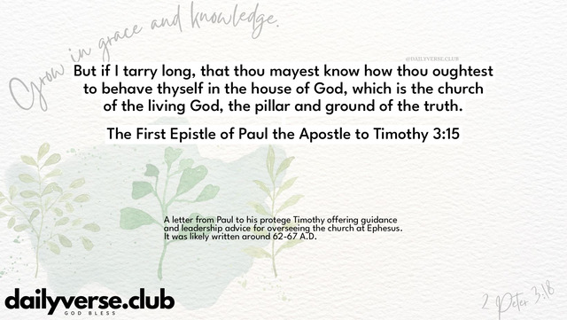 Bible Verse Wallpaper 3:15 from The First Epistle of Paul the Apostle to Timothy
