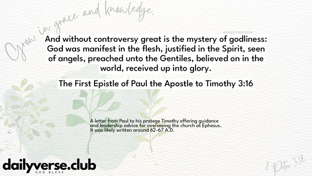 Bible Verse Wallpaper 3:16 from The First Epistle of Paul the Apostle to Timothy