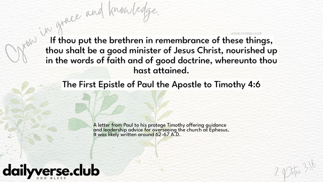 Bible Verse Wallpaper 4:6 from The First Epistle of Paul the Apostle to Timothy