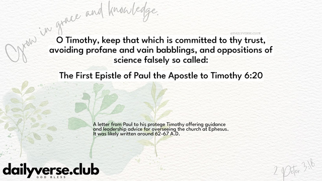 Bible Verse Wallpaper 6:20 from The First Epistle of Paul the Apostle to Timothy