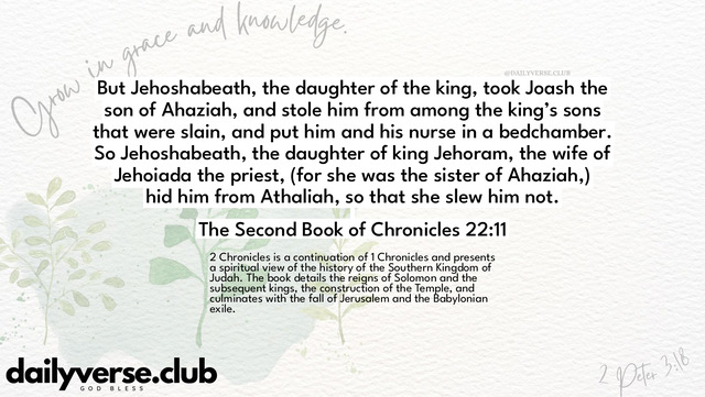 Bible Verse Wallpaper 22:11 from The Second Book of Chronicles