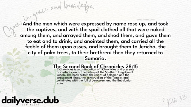 Bible Verse Wallpaper 28:15 from The Second Book of Chronicles
