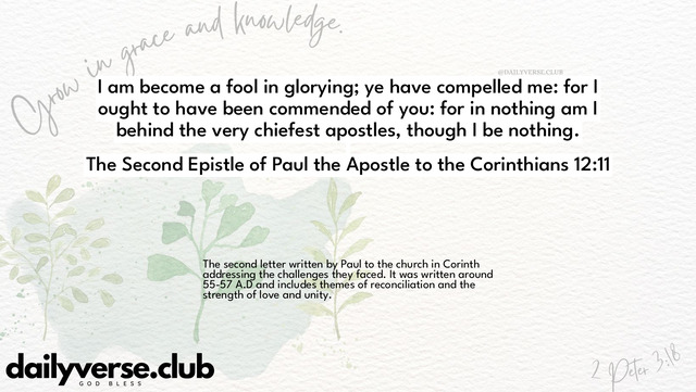 Bible Verse Wallpaper 12:11 from The Second Epistle of Paul the Apostle to the Corinthians