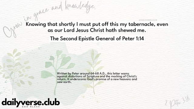 Bible Verse Wallpaper 1:14 from The Second Epistle General of Peter