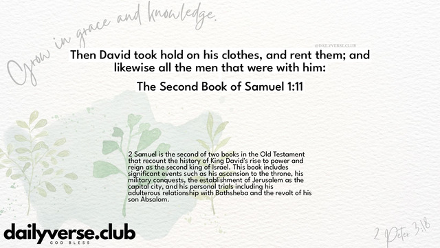 Bible Verse Wallpaper 1:11 from The Second Book of Samuel