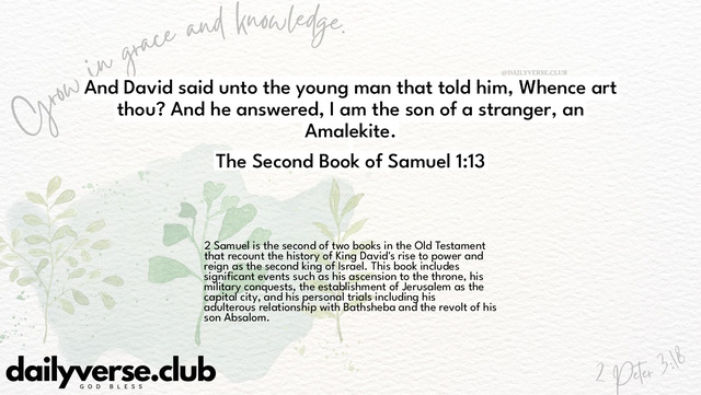 Bible Verse Wallpaper 1:13 from The Second Book of Samuel