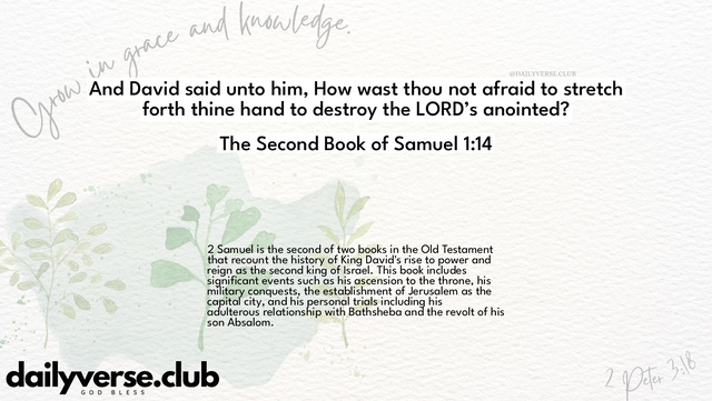 Bible Verse Wallpaper 1:14 from The Second Book of Samuel