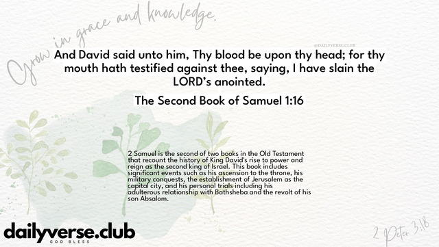 Bible Verse Wallpaper 1:16 from The Second Book of Samuel