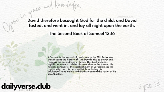 Bible Verse Wallpaper 12:16 from The Second Book of Samuel