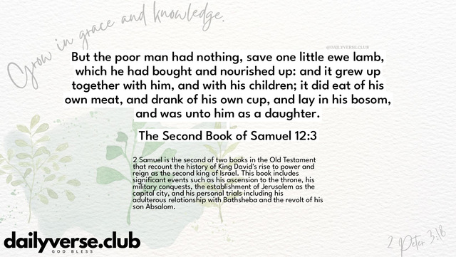 Bible Verse Wallpaper 12:3 from The Second Book of Samuel