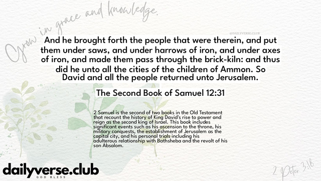 Bible Verse Wallpaper 12:31 from The Second Book of Samuel
