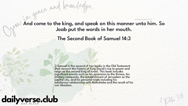 Bible Verse Wallpaper 14:3 from The Second Book of Samuel