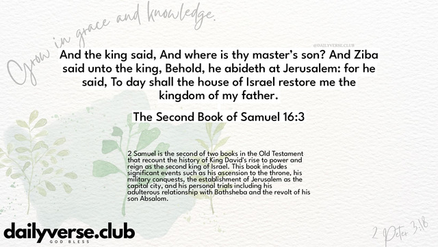 Bible Verse Wallpaper 16:3 from The Second Book of Samuel