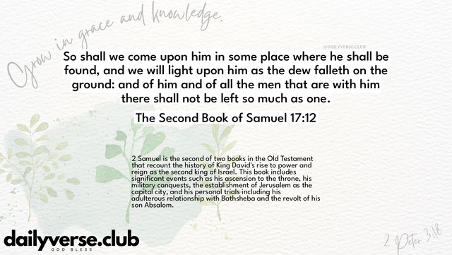 Bible Verse Wallpaper 17:12 from The Second Book of Samuel