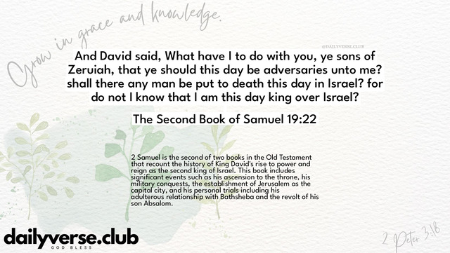 Bible Verse Wallpaper 19:22 from The Second Book of Samuel
