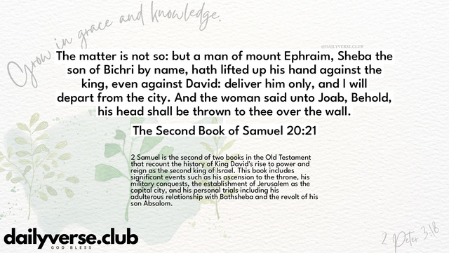 Bible Verse Wallpaper 20:21 from The Second Book of Samuel