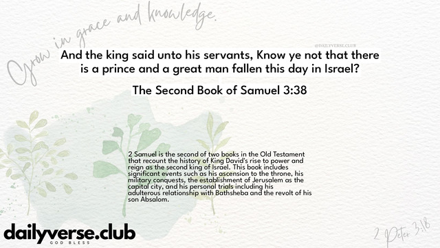 Bible Verse Wallpaper 3:38 from The Second Book of Samuel