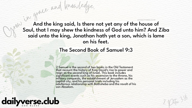 Bible Verse Wallpaper 9:3 from The Second Book of Samuel