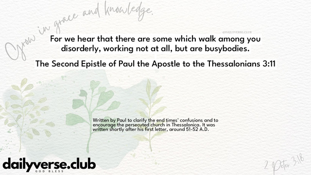 Bible Verse Wallpaper 3:11 from The Second Epistle of Paul the Apostle to the Thessalonians
