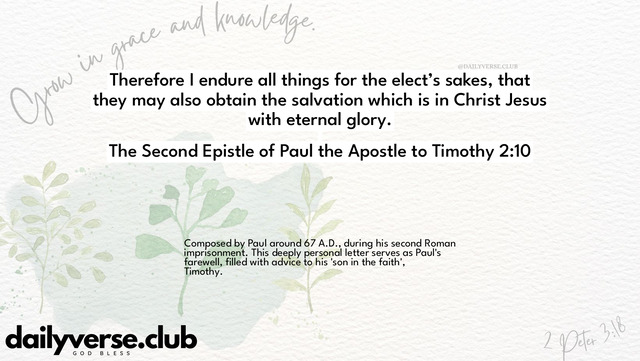 Bible Verse Wallpaper 2:10 from The Second Epistle of Paul the Apostle to Timothy