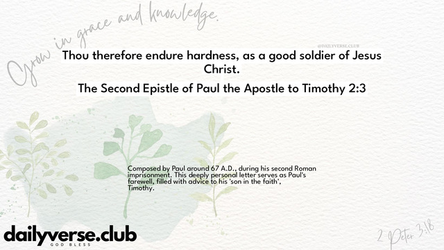 Bible Verse Wallpaper 2:3 from The Second Epistle of Paul the Apostle to Timothy