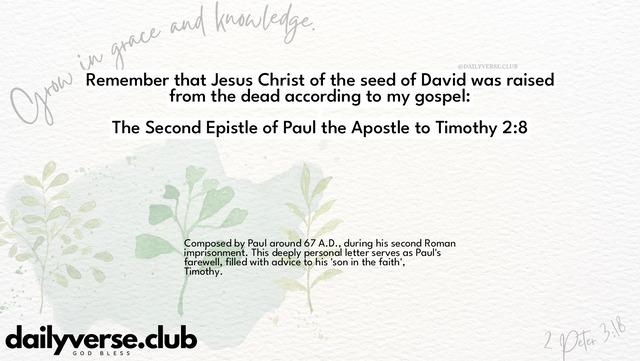 Bible Verse Wallpaper 2:8 from The Second Epistle of Paul the Apostle to Timothy